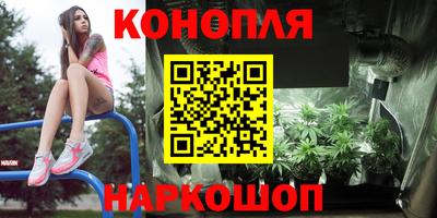 прущие грибы Аргун