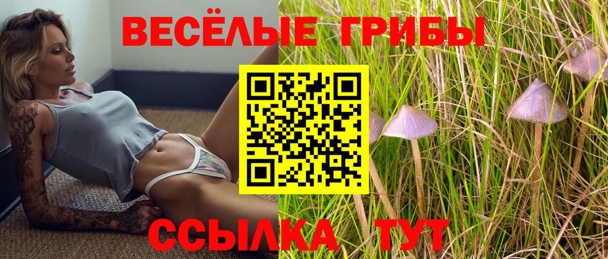 Видное  Галлюциногенные грибы Cubensis  Вход с VPN  Псилоцибиновые грибы мицелий 