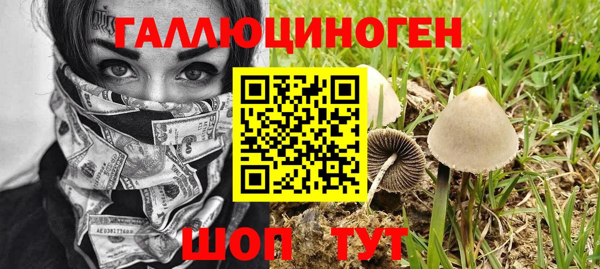 Галлюциногенные грибы ЛСД  Псилоцибиновые грибы Psilocybe  Видное 